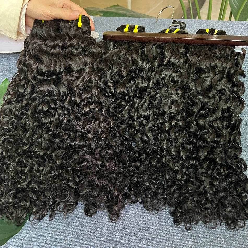 Burmese Curl